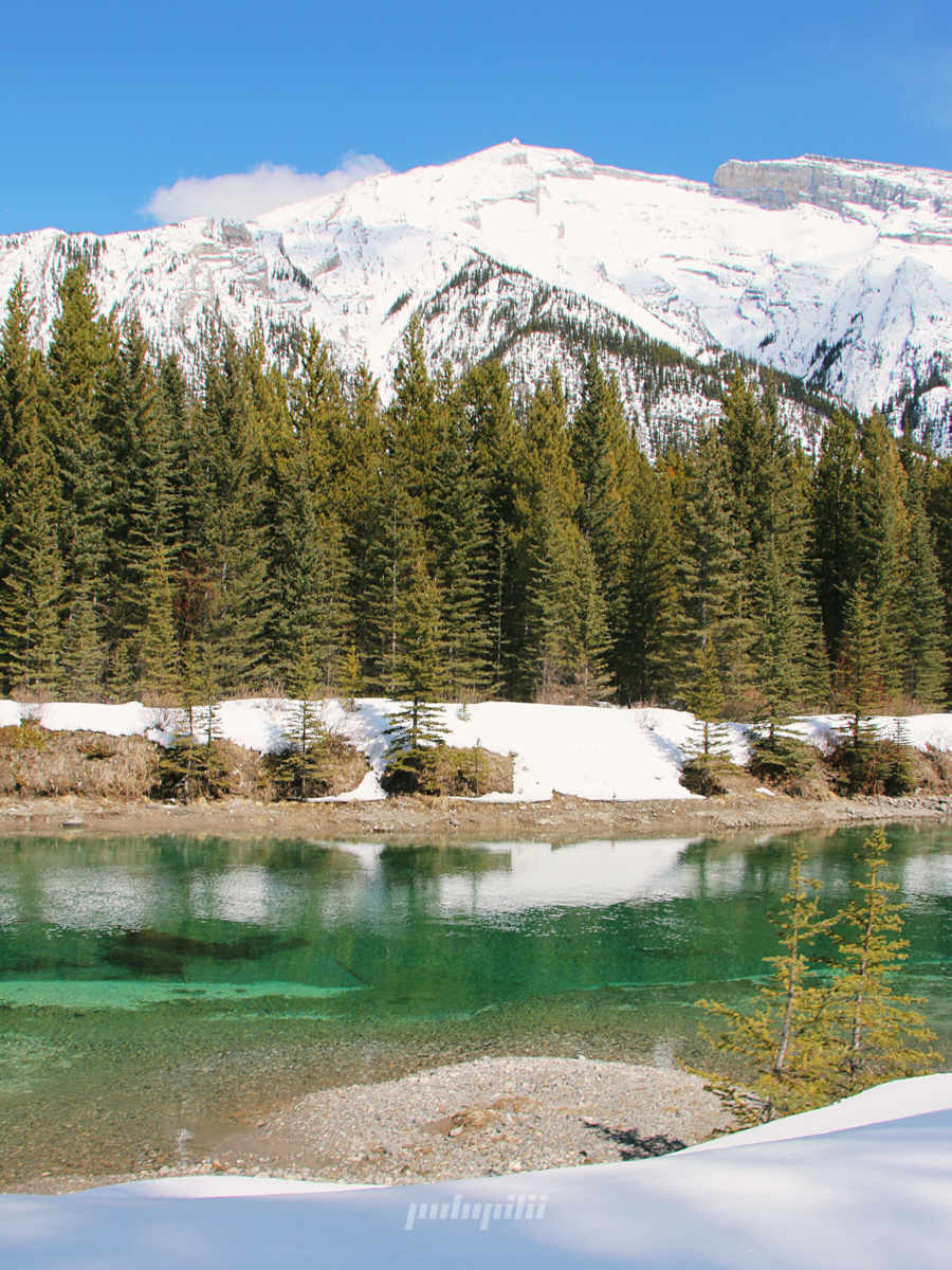 รีวิวเที่ยวแคนาดาเดือนเมษายน Lake Louise Banff canmore Canadian